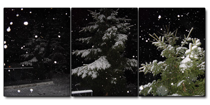 Winterwonderland (Großes Bild) Winterwonderland (Großes Bild)