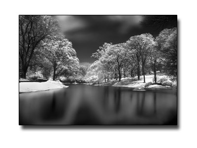 Fresh New Snow, (c) Phillip C, Kentucky Fresh New Snow, (c) Phillip C, Kentucky