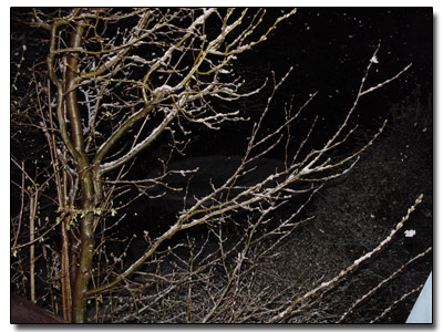 Schnee 3./4. April bei München
