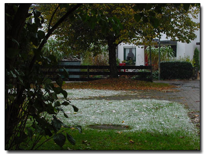 Erster Schnee 2007 Erster Schnee 2007