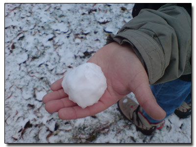 Der erste Schneeball der Saison Der erste Schneeball der Saison