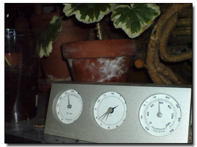 13°C