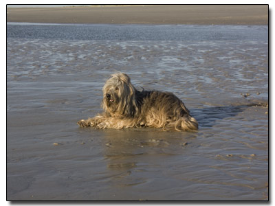 Ta-Yu am Nordseestrand