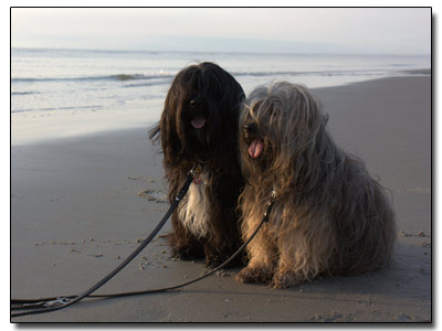 Tra Yerpa Hamro und Ta-yu an der Nordsee