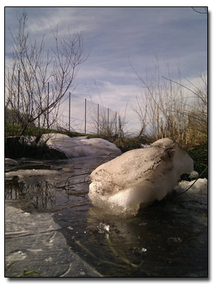 kein Schnee mehr