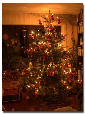 Weihnachtsbaum 2011