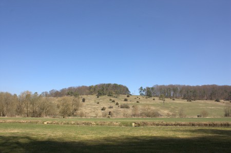 Landschaft Eselsburger Tal
